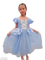 Pretty Cinderella Costume Singapore