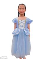 Pretty Cinderella Costume Singapore