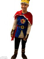 Teen Prince costume singpaore